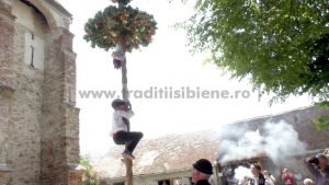 obic_coroanei_axente_sever