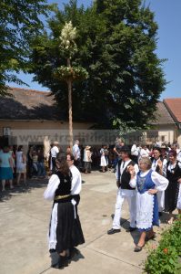 obic_coroanei_axente_sever_2